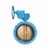 Flanged Concentric Disc Butterfly Valve